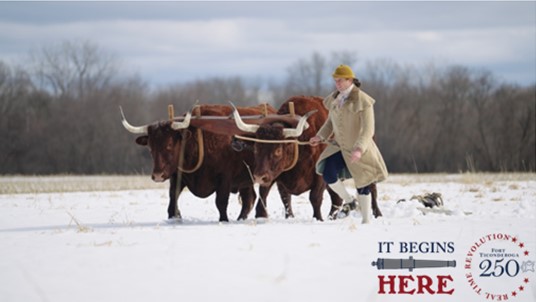 henry knox interpreter and oxen in the snow